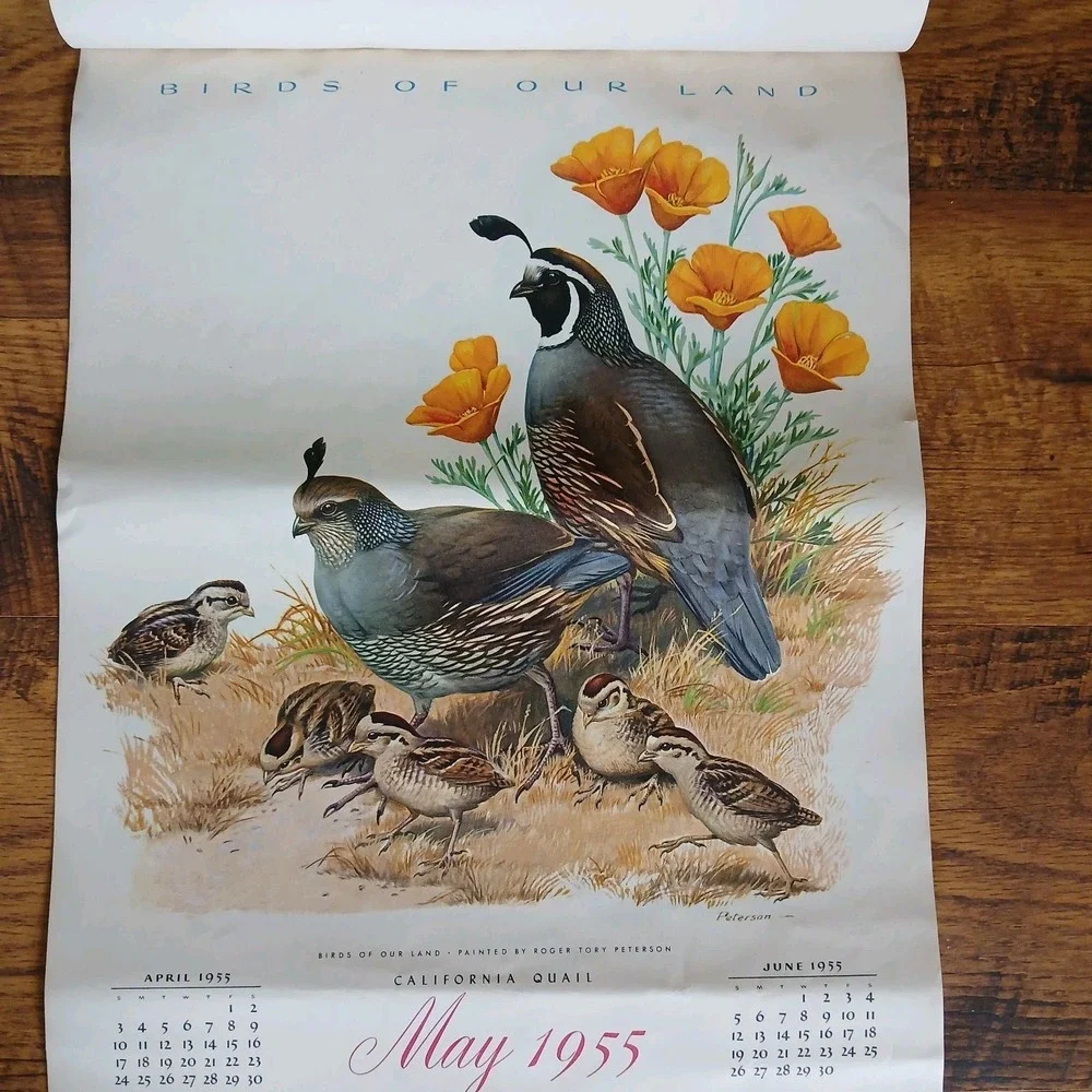 Vtg 1955 Birds Of Our Land Advertising Calendar Morrell Pride Meats Recipe READ